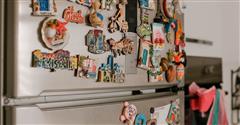 VYNOR_IMPEX_FRIDGE_MAGNET